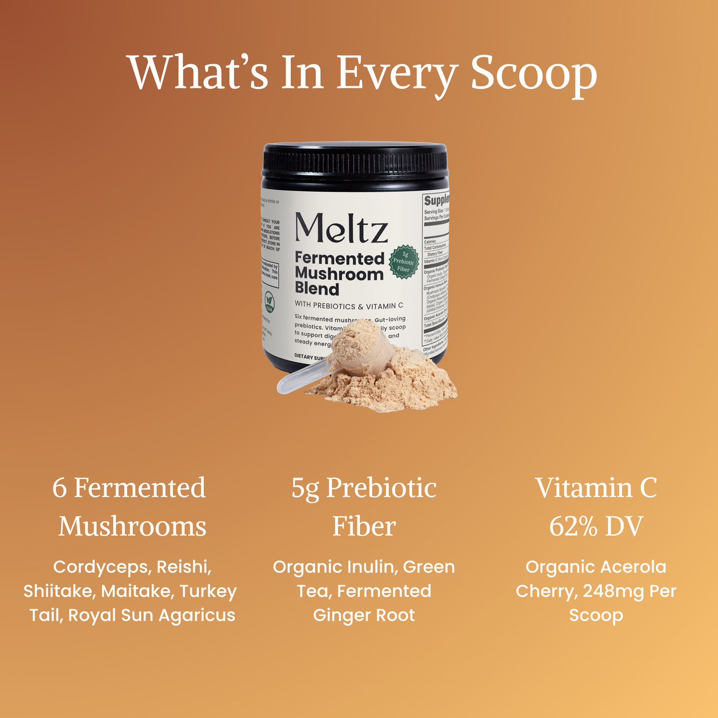 Meltz Fermented Mushroom Blend — Daily Gut, Immunity & Energy Support