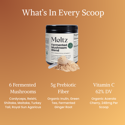Meltz Fermented Mushroom Blend — Daily Gut, Immunity & Energy Support