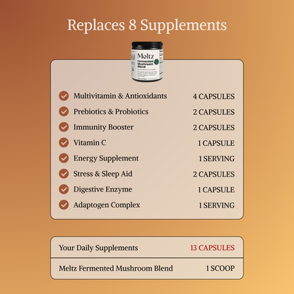 Meltz Fermented Mushroom Blend — Daily Gut, Immunity & Energy Support