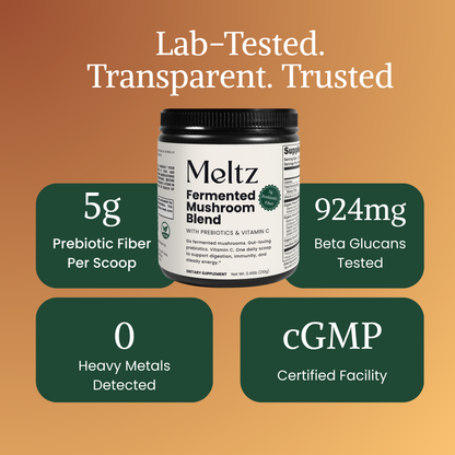 Meltz Fermented Mushroom Blend — Daily Gut, Immunity & Energy Support