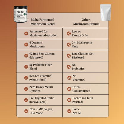 Meltz Fermented Mushroom Blend — Daily Gut, Immunity & Energy Support