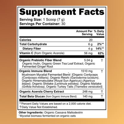 Meltz Fermented Mushroom Blend — Daily Gut, Immunity & Energy Support