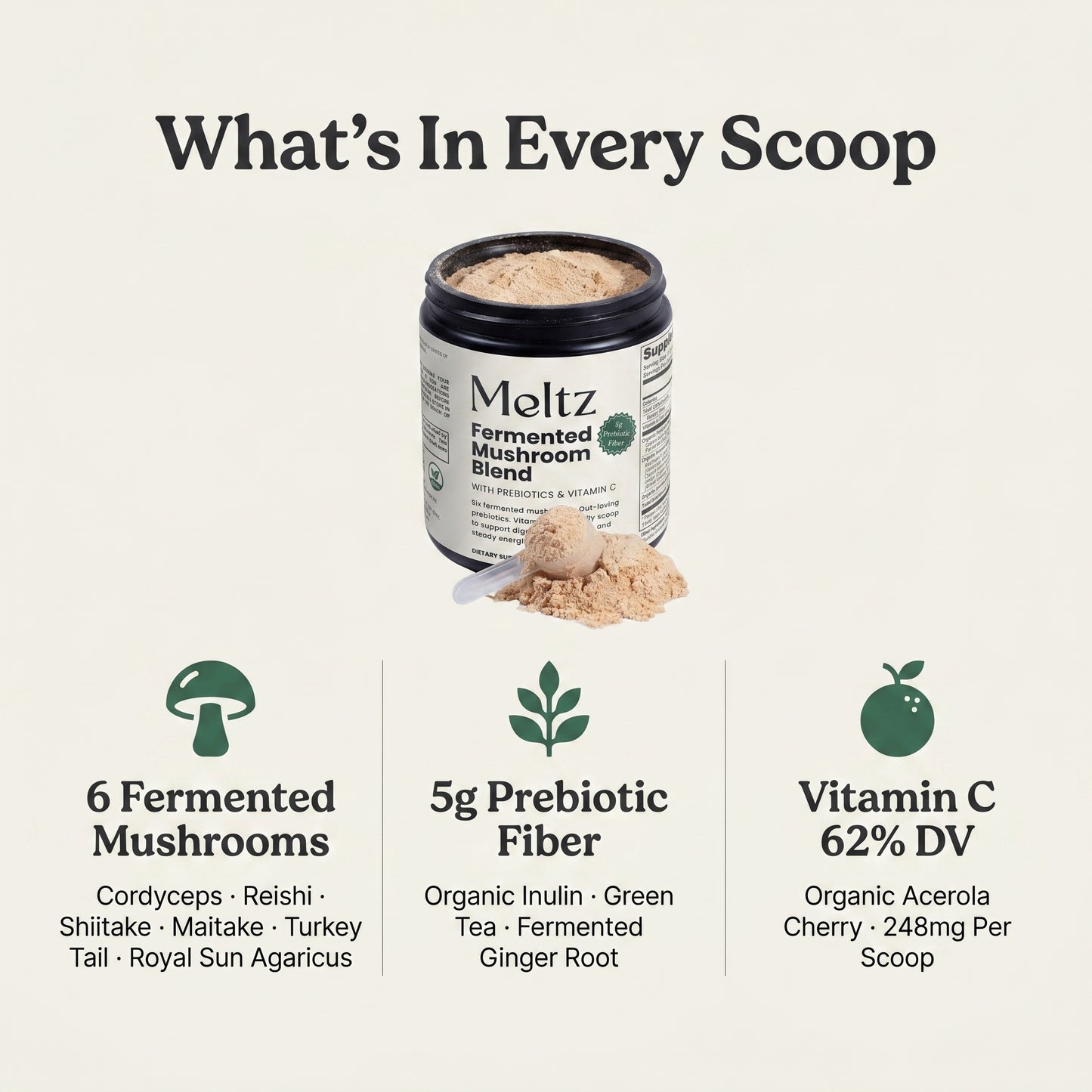 Meltz Fermented Mushroom Blend — Daily Gut, Immunity & Energy Support