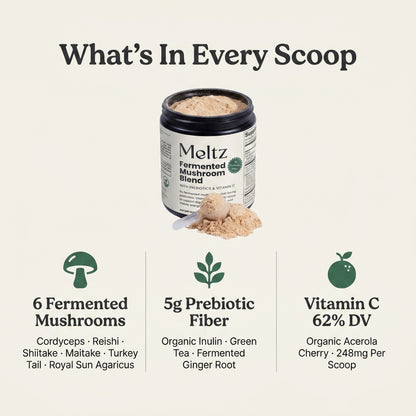 Meltz Fermented Mushroom Blend — Daily Gut, Immunity & Energy Support
