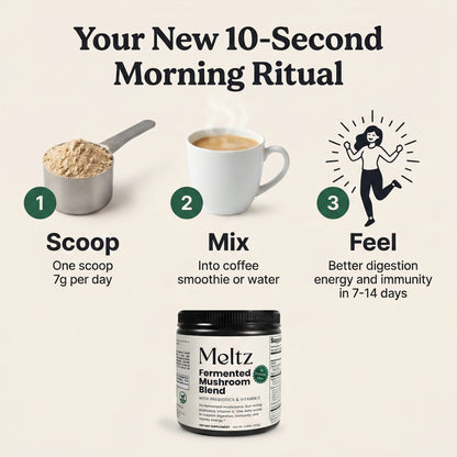 Meltz Fermented Mushroom Blend — Daily Gut, Immunity & Energy Support
